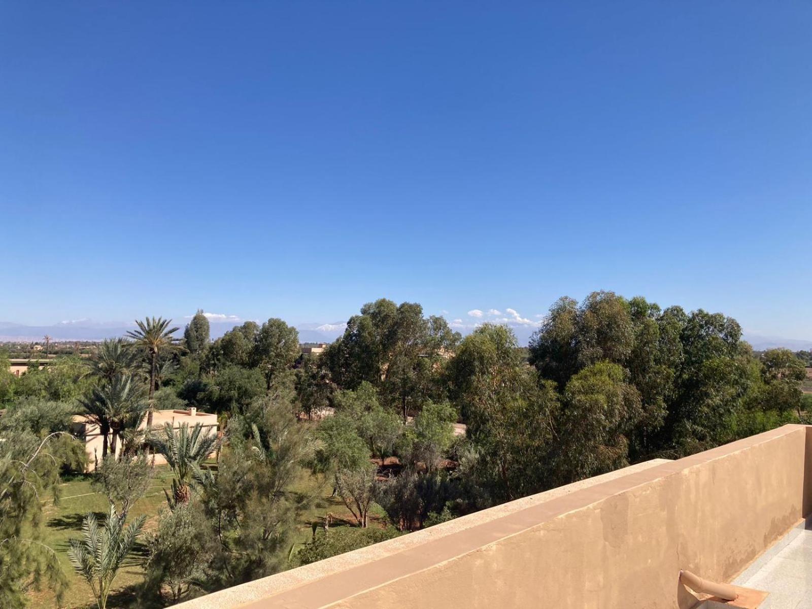 Family Palms Luxe Villa Marrakech With Private Pool Marrakesh Chambre photo